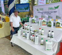XLN-R: CHẾ PHẨM XỬ LÝ NƯỚC NUÔI THỦY SẢN