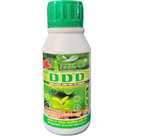 DINH DƯỠNG: DDD