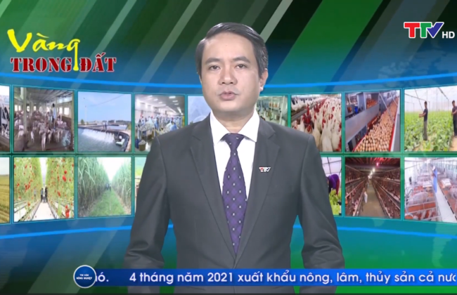 Phân vi sinh cho nông nghiệp thế TSBIO